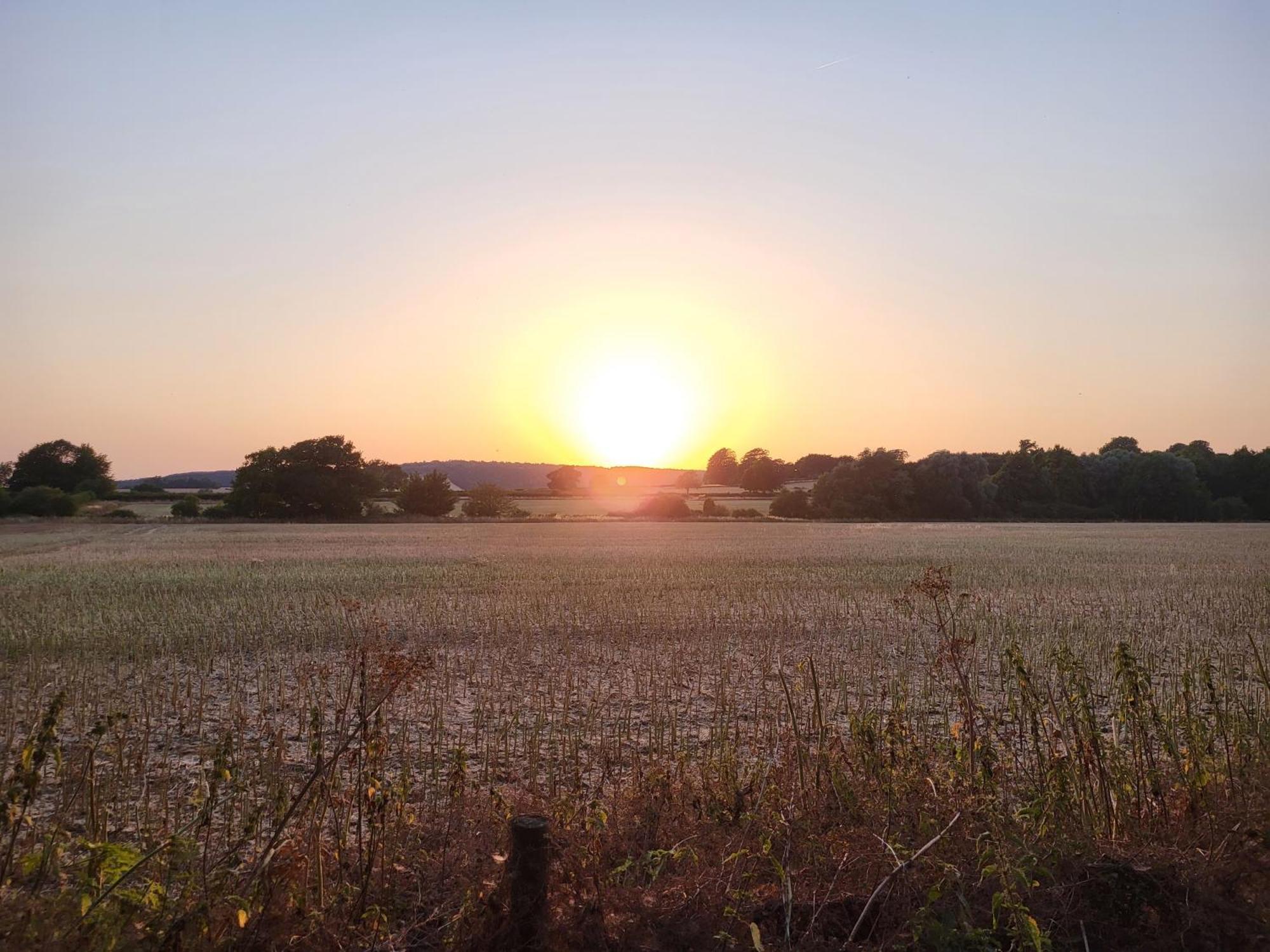 Unique & Rural Child Friendly Annexe With Large Gardens, Games & Tennis Court - Chichester Holiday Properties エクステリア 写真