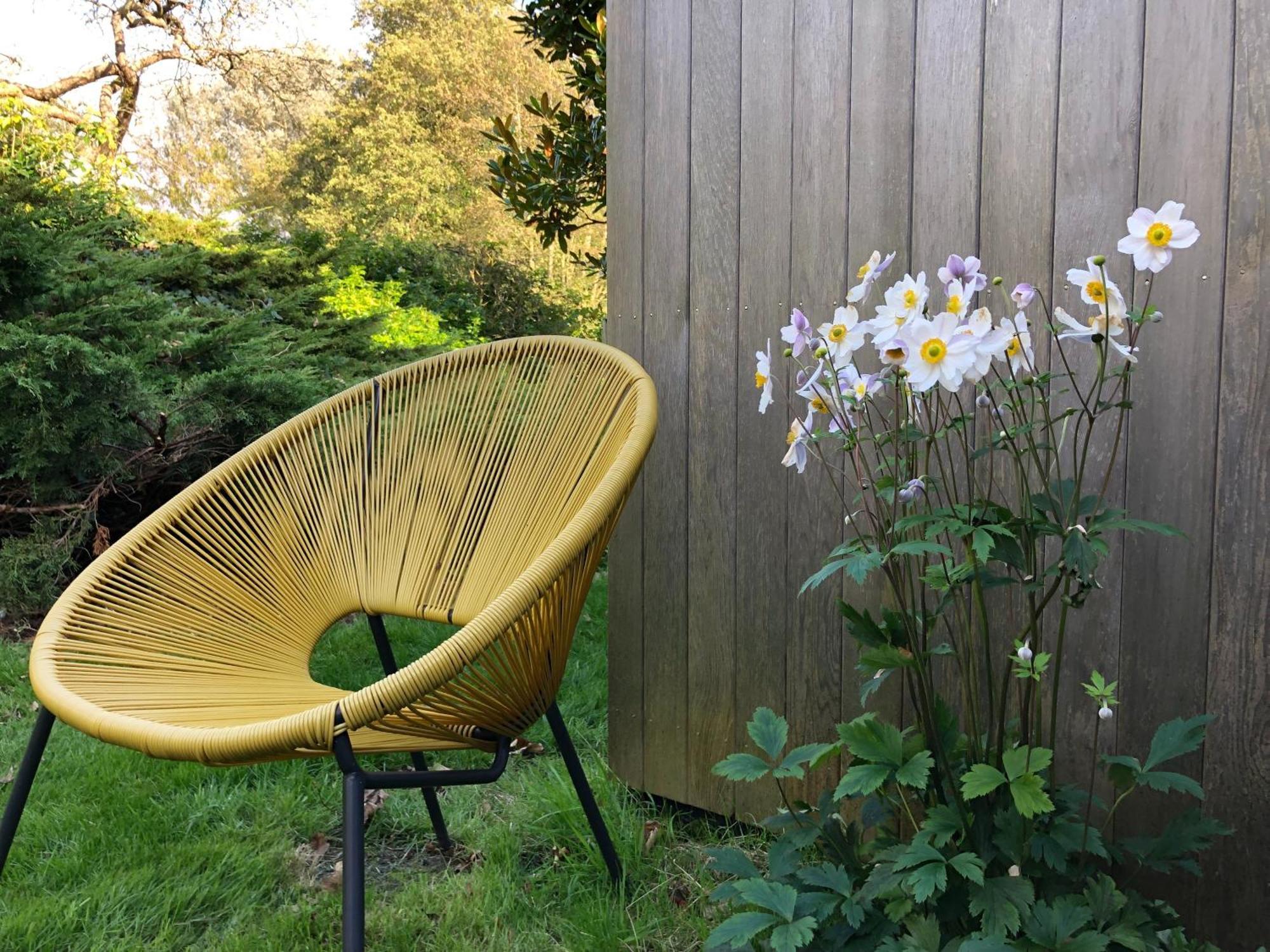 Unique & Rural Child Friendly Annexe With Large Gardens, Games & Tennis Court - Chichester Holiday Properties エクステリア 写真