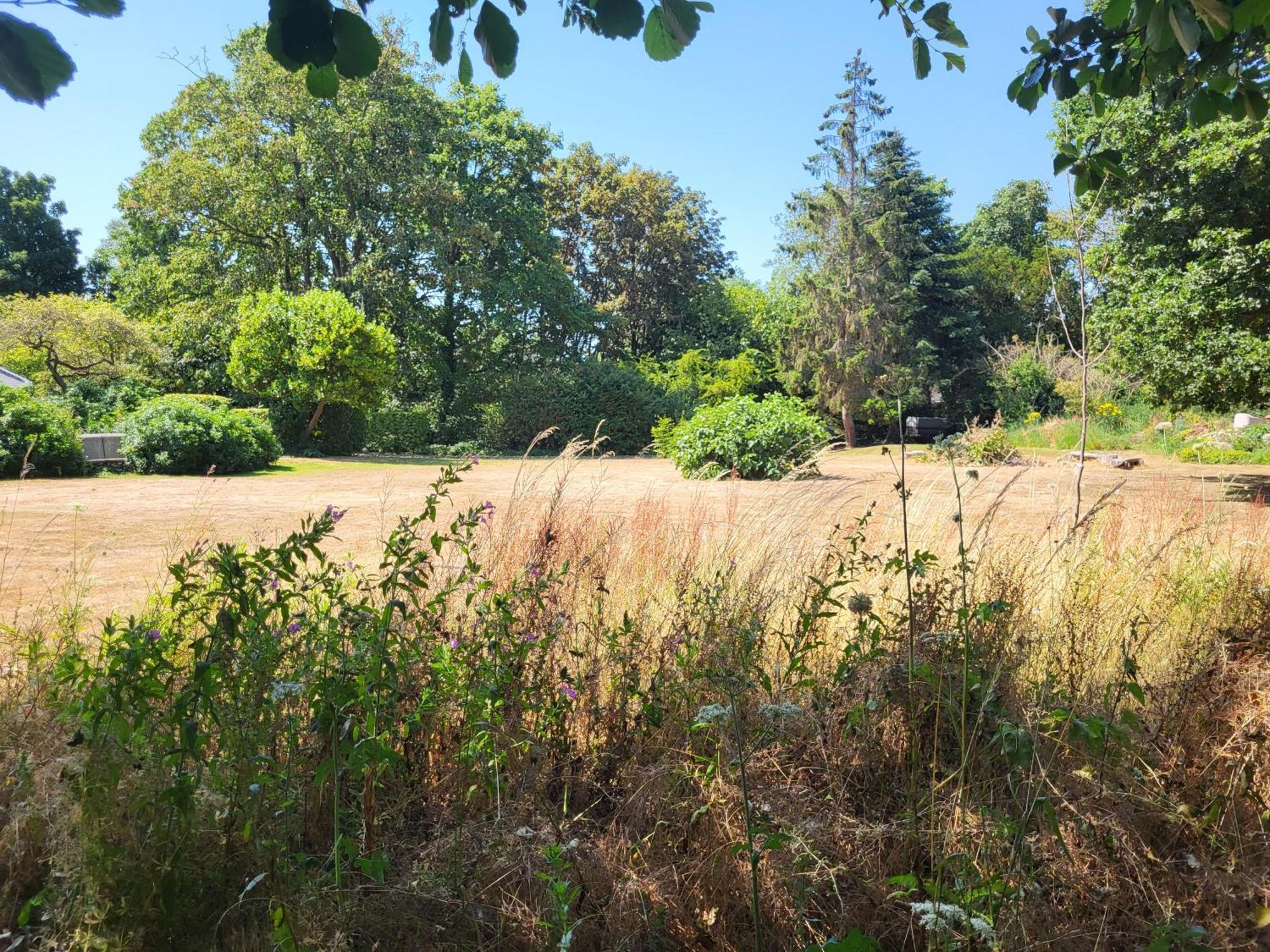 Unique & Rural Child Friendly Annexe With Large Gardens, Games & Tennis Court - Chichester Holiday Properties エクステリア 写真