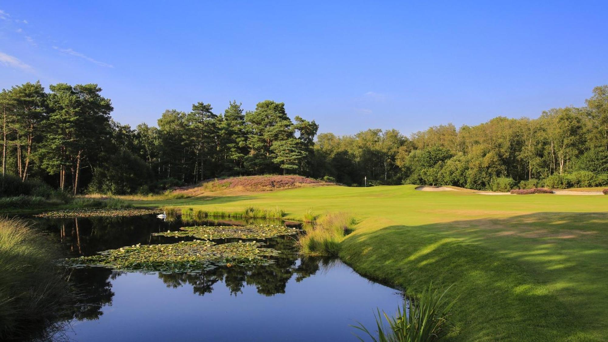 Unique & Rural Child Friendly Annexe With Large Gardens, Games & Tennis Court - Chichester Holiday Properties エクステリア 写真