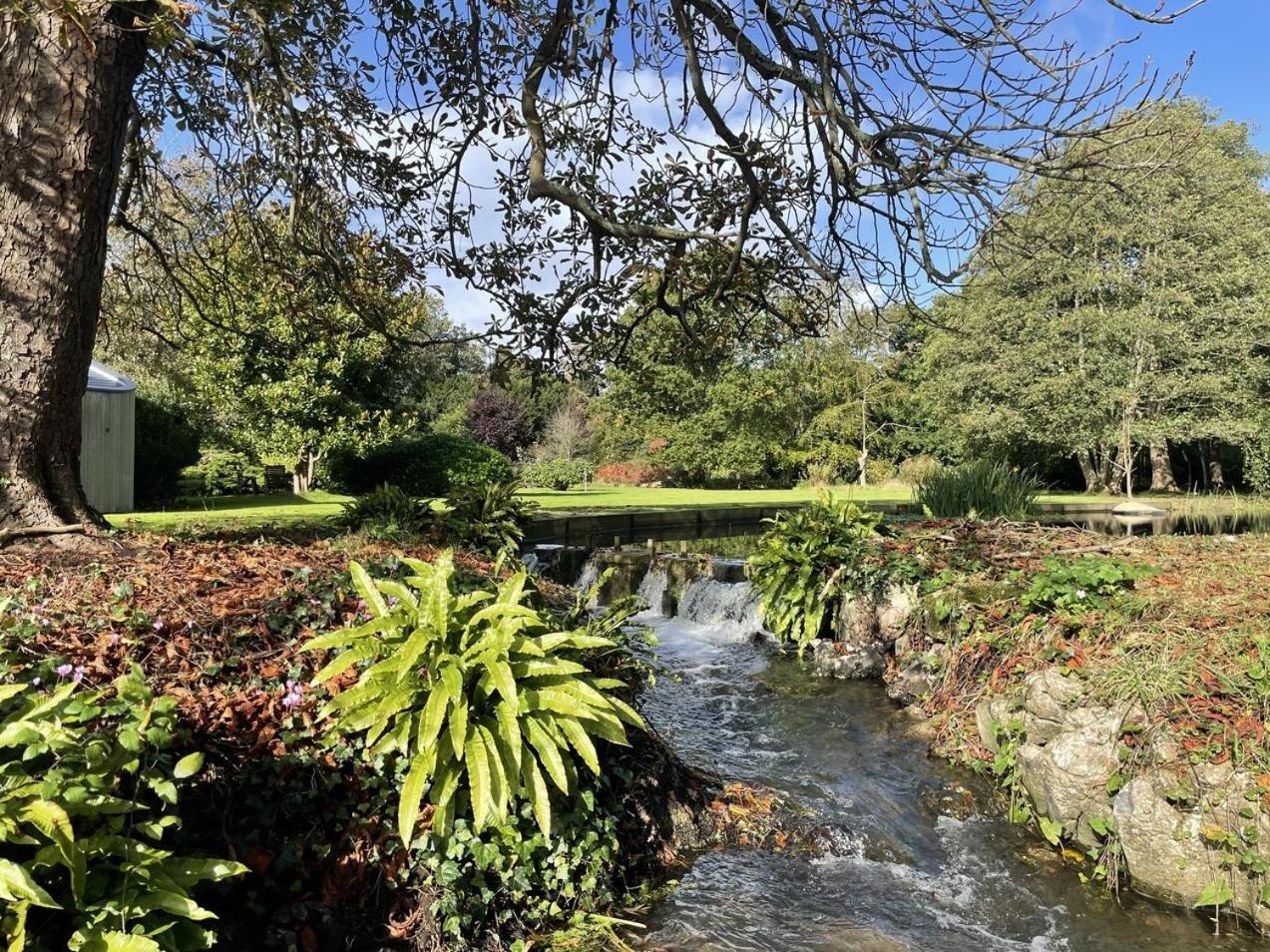 Unique & Rural Child Friendly Annexe With Large Gardens, Games & Tennis Court - Chichester Holiday Properties エクステリア 写真