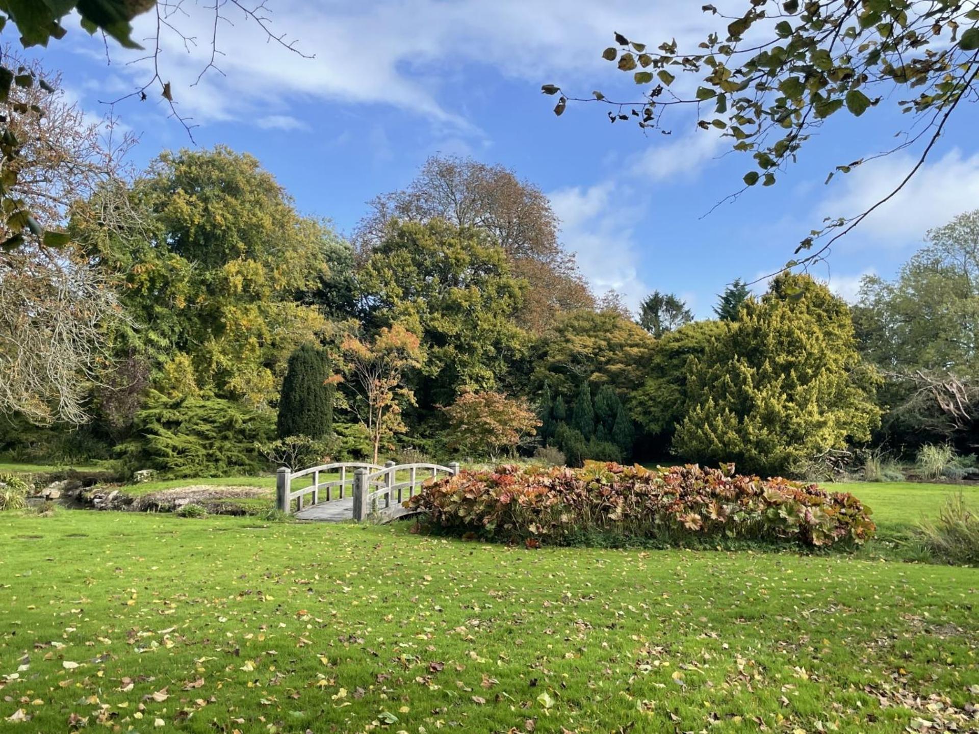 Unique & Rural Child Friendly Annexe With Large Gardens, Games & Tennis Court - Chichester Holiday Properties エクステリア 写真