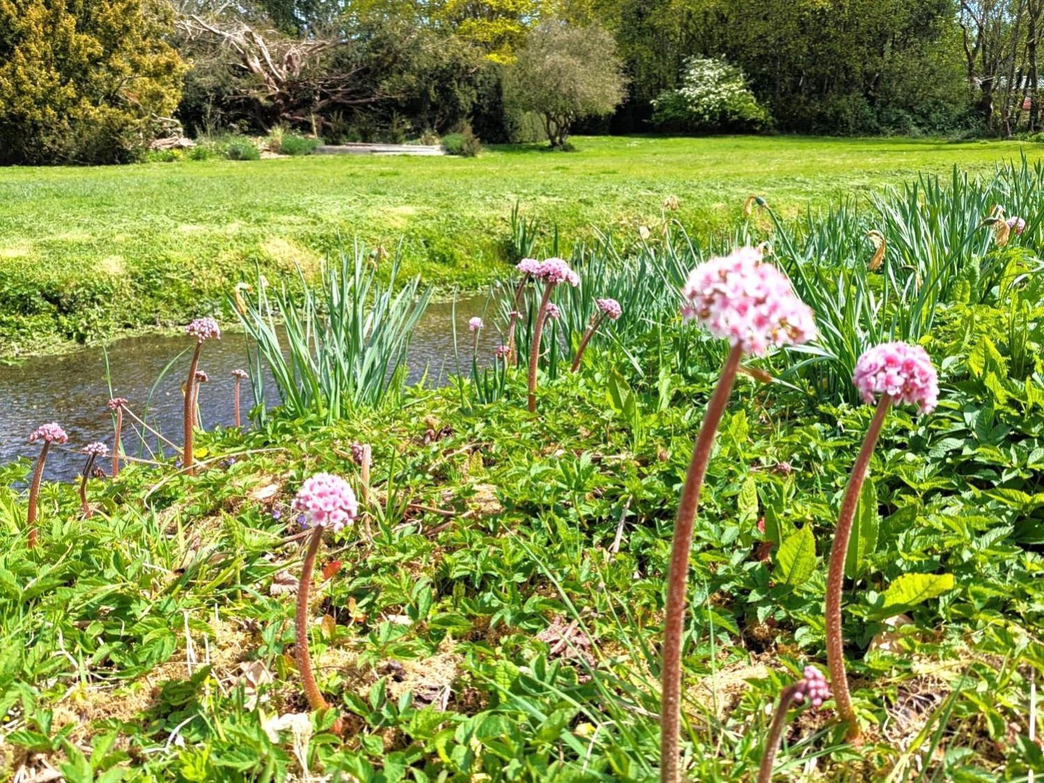 Unique & Rural Child Friendly Annexe With Large Gardens, Games & Tennis Court - Chichester Holiday Properties エクステリア 写真