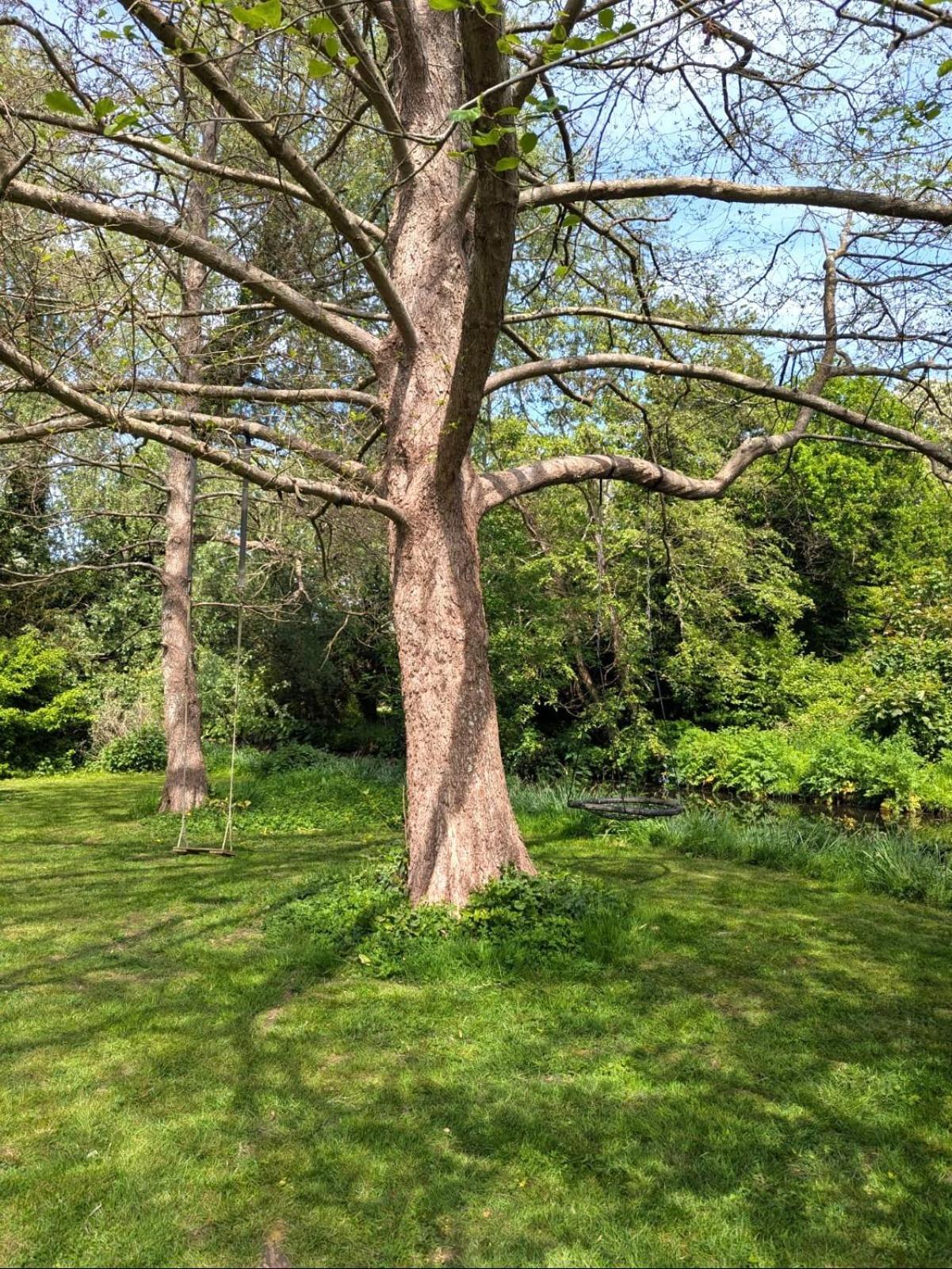 Unique & Rural Child Friendly Annexe With Large Gardens, Games & Tennis Court - Chichester Holiday Properties エクステリア 写真