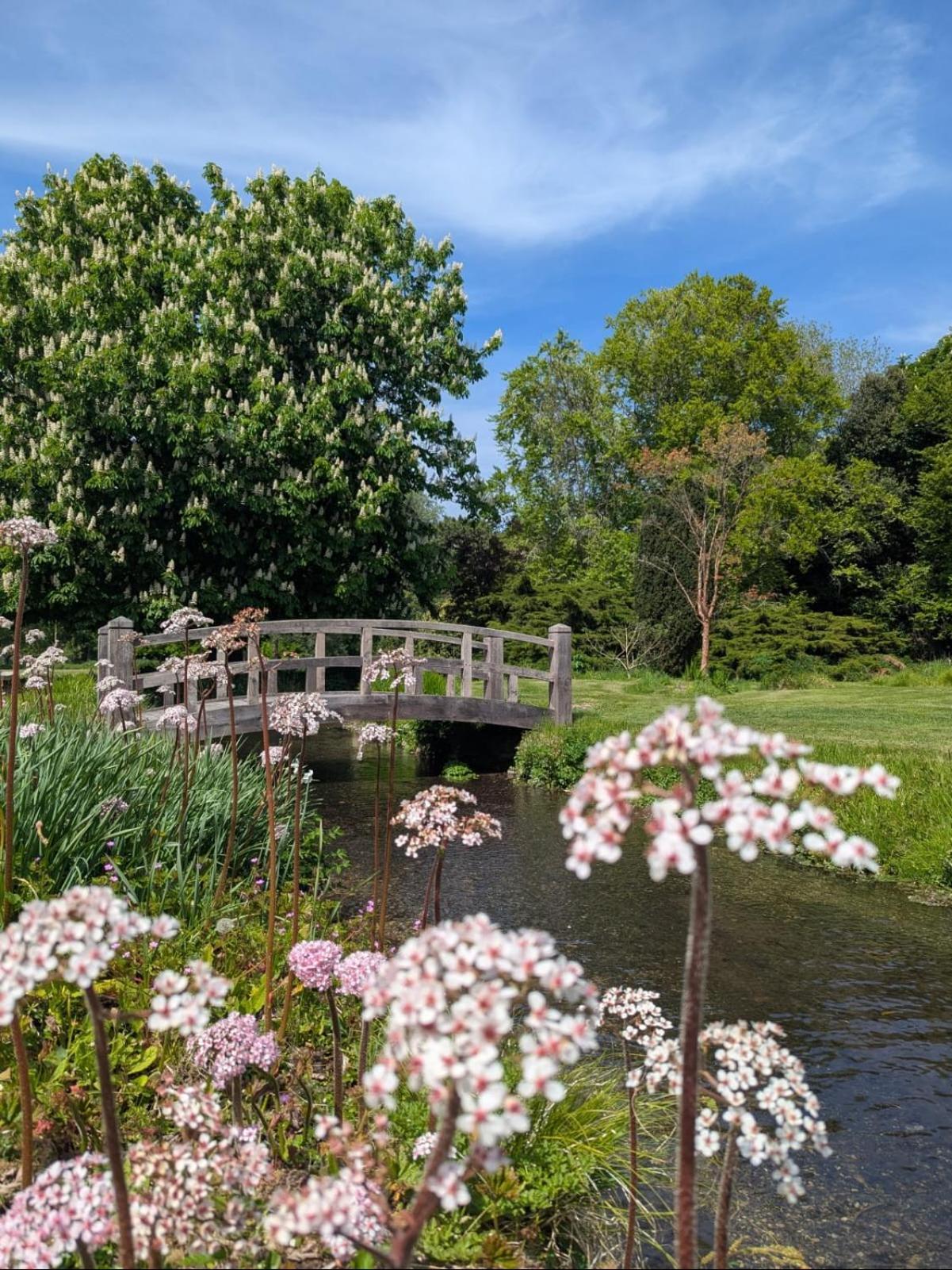 Unique & Rural Child Friendly Annexe With Large Gardens, Games & Tennis Court - Chichester Holiday Properties エクステリア 写真